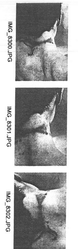 Fullscreen capture 20190619 152914