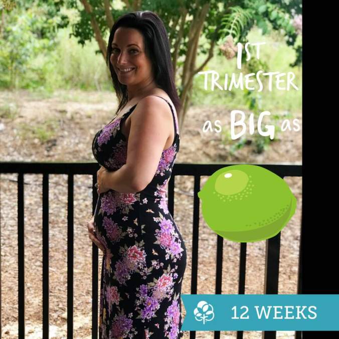 37578946_10155571525926935_1201367550294753280_n