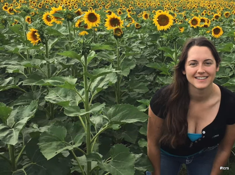 Fullscreen capture 20190706 145636