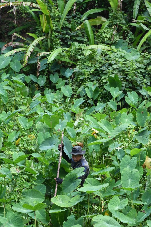 0_MALAYSIA-BRITAIN-IRELAND-FRANCE-POLICE-MISSING