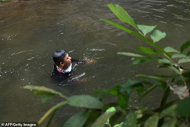 16984838-0-image-a-17_1565163236429