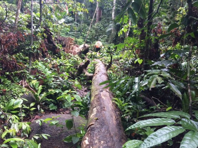 67983222_518384285603050_7416960013937147904_n