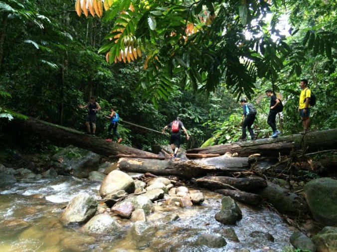 68248434_518384452269700_6095905915674820608_n