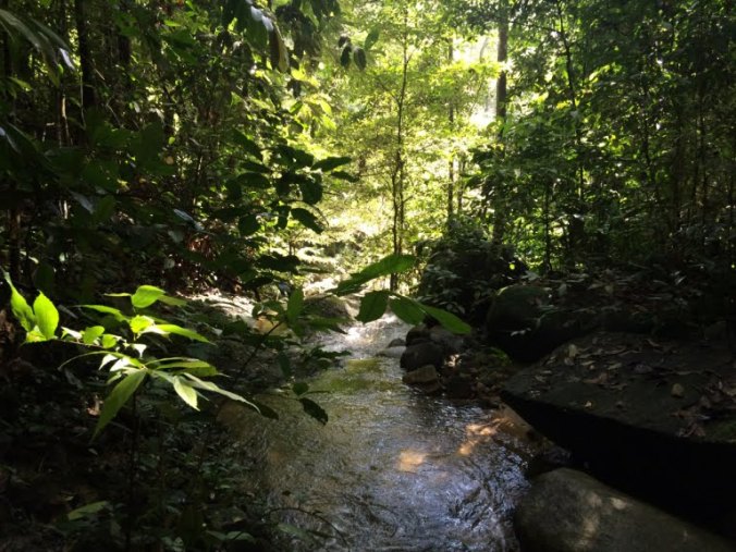 68269393_518384558936356_727723483219361792_n