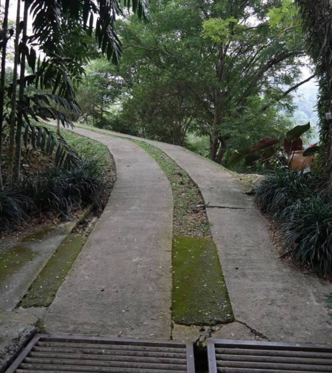 68394797_10214493675192099_6341042595728195584_n