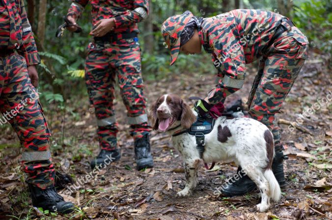 British teenager Nora Quoirin missing in Malaysia - 10 Aug 2019