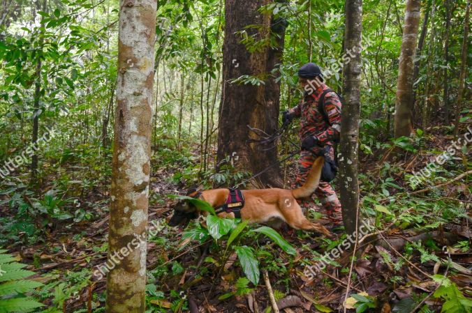 British teenager Nora Quoirin missing in Malaysia - 10 Aug 2019