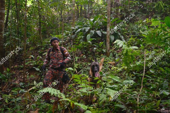 British teenager Nora Quoirin missing in Malaysia - 10 Aug 2019