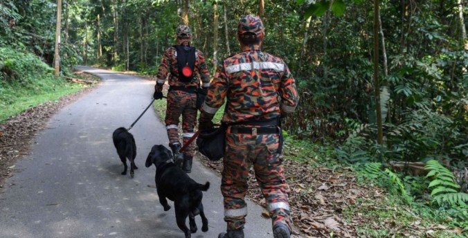 Fullscreen capture 20190816 130252