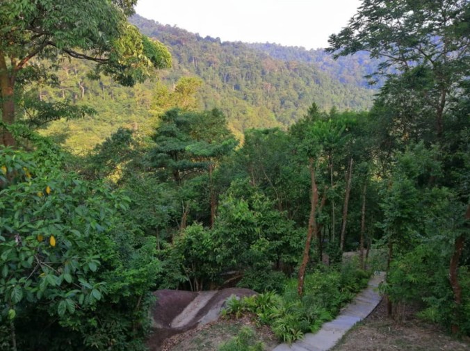 Fullscreen capture 20190823 004356