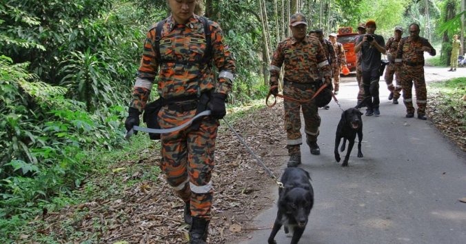 Nora_Anne_Quoirin_sar_0708_(3)-seo