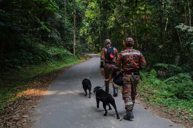 NoraQuoirinSearch0808-2