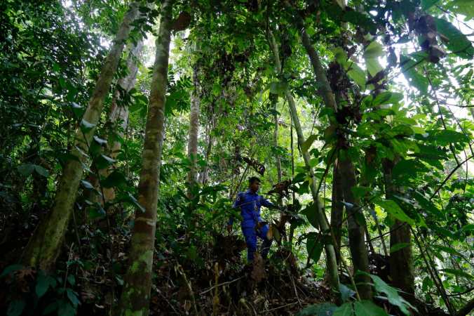 urn-publicid-ap.org-63625dbe5ef7452396adbdf4c5f1ee40