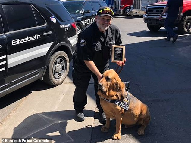 20787568-7666921-image-m-29_1573265346857