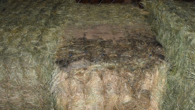 737fc1bd-9f17-4b47-ae5b-ade2b493fe33_750x422