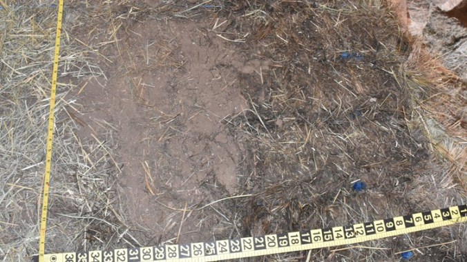 cb9d7f4a-8e8d-4714-b3f3-700c37d398d4_750x422