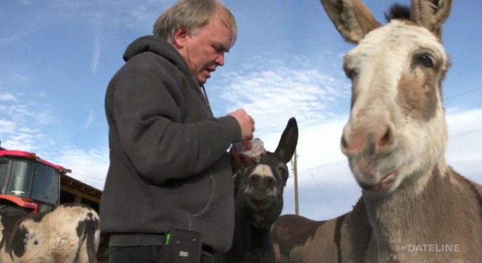 Fullscreen capture 20191113 123135