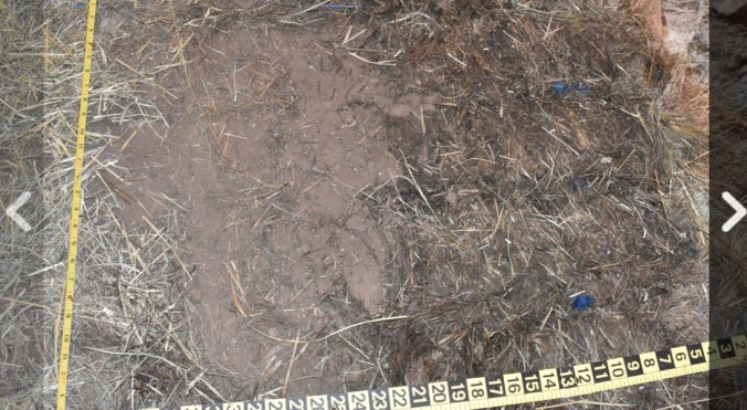 Fullscreen capture 20191123 092459