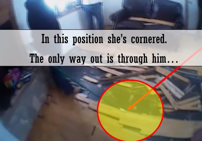 Fullscreen capture 20191123 162609