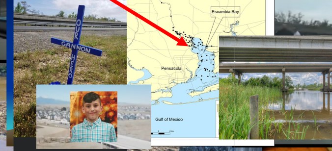 Fullscreen capture 20200325 065829