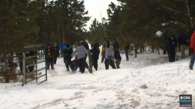 Fullscreen capture 20200412 171148