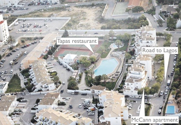 zzzMadelineMcCannAerialGraphic_large